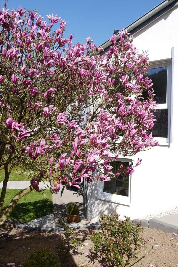 Ferienwohnung Magnolia Kordel Exterior foto